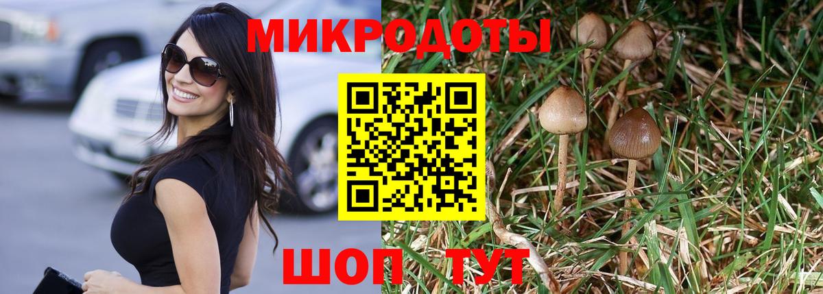 Галлюциногенные грибы Cubensis  Вход с VPN  Тула 